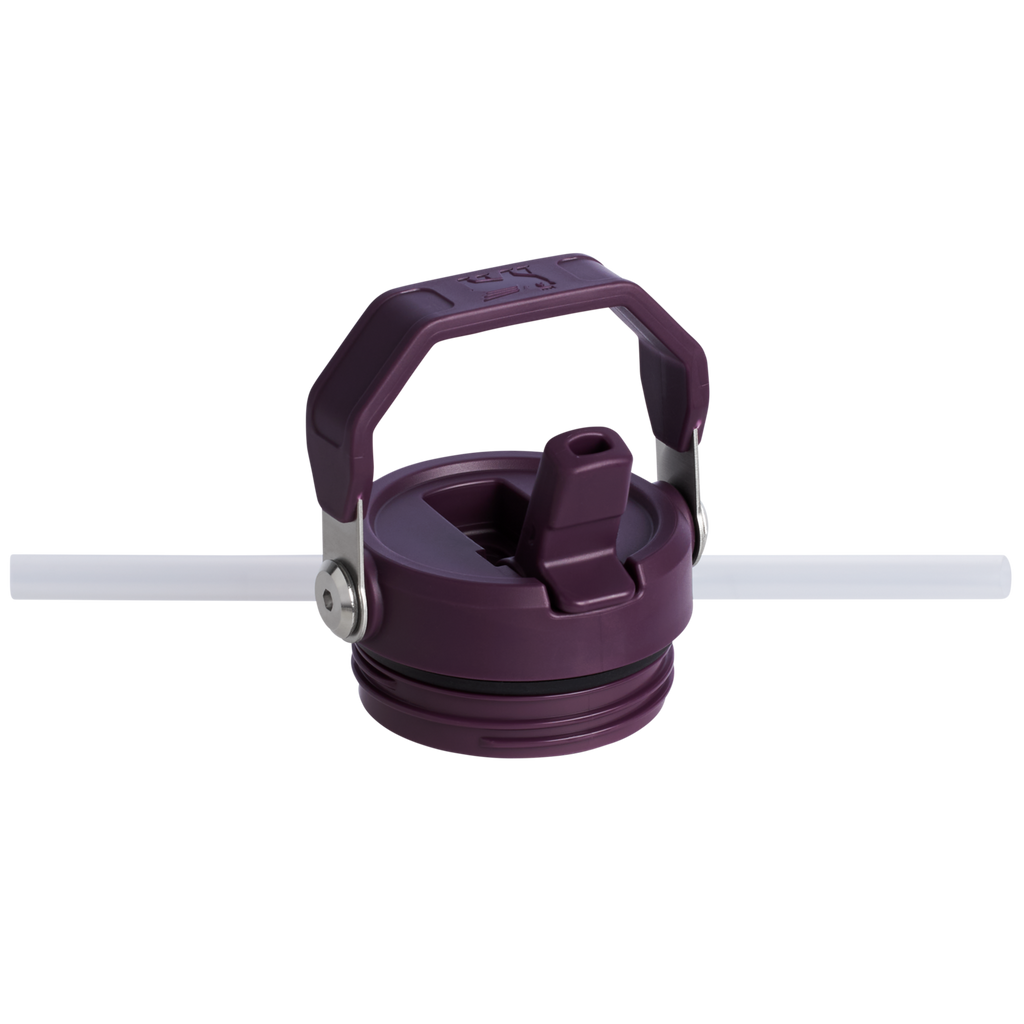 The IceFlow™ Bottle with Flip Straw Lid